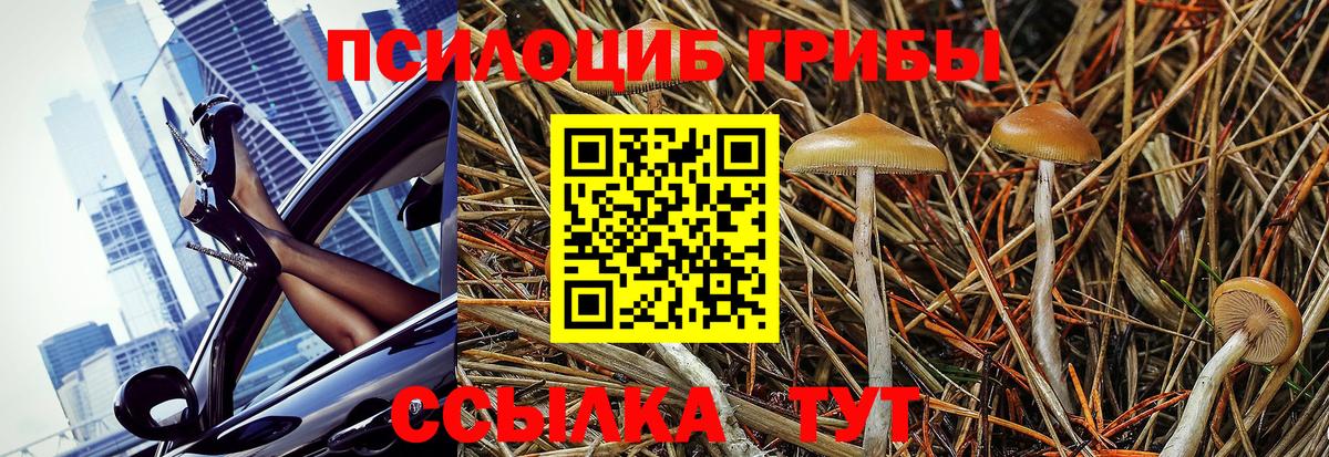 Псилоцибиновые грибы Magic Shrooms Магнитогорск