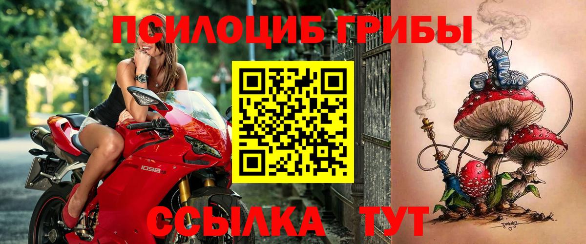 Псилоцибиновые грибы прущие грибы  Вход с VPN  купить   Магнитогорск 